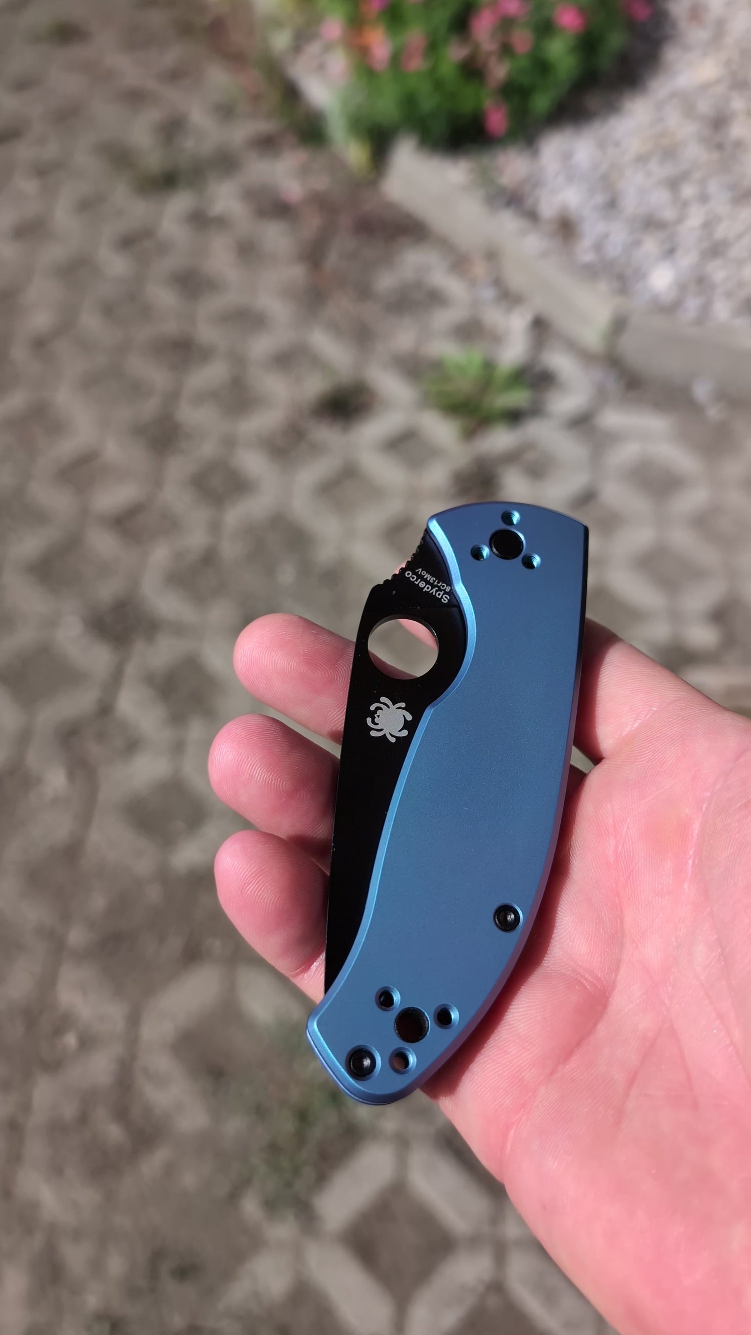 Spyderco C122TIBLBKP Tenacious Blue Titan, Black Taschenmesser